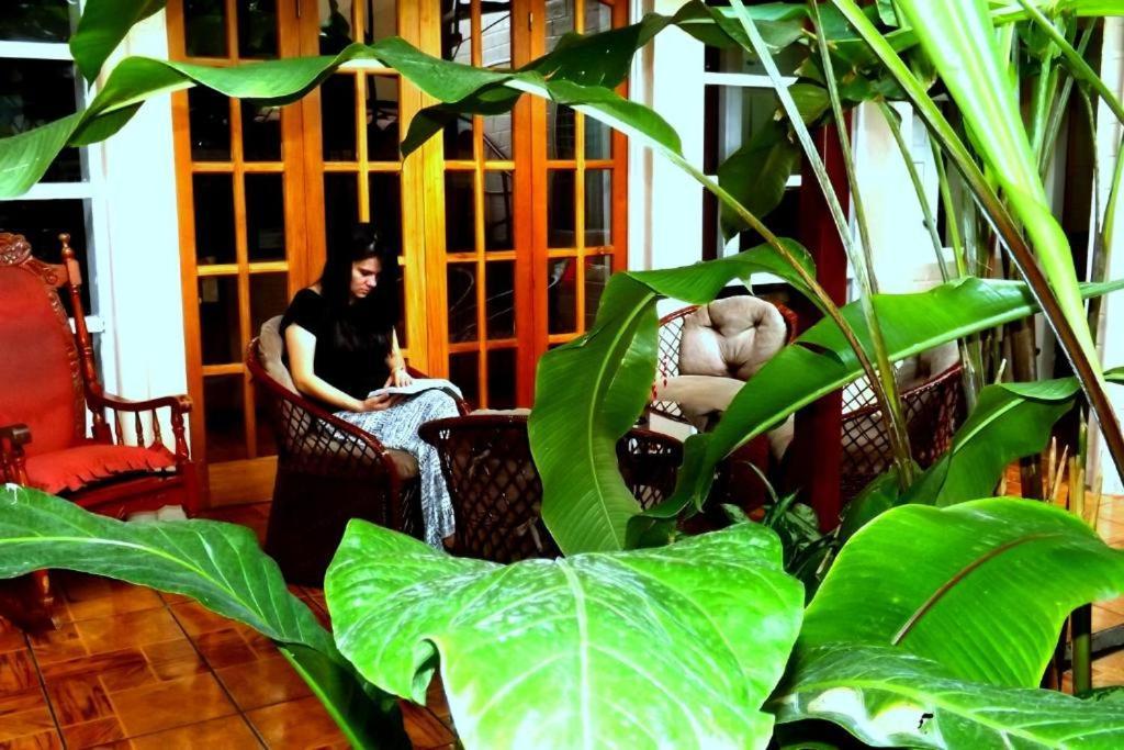 Sura Bed And Breakfast San Jose  Luaran gambar